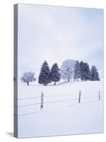 Germany, Bavaria, AllgŠu, Snow Scenery, Trees-Herbert Kehrer-Stretched Canvas