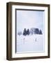 Germany, Bavaria, AllgŠu, Snow Scenery, Trees-Herbert Kehrer-Framed Photographic Print