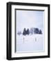 Germany, Bavaria, AllgŠu, Snow Scenery, Trees-Herbert Kehrer-Framed Photographic Print