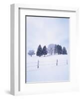 Germany, Bavaria, AllgŠu, Snow Scenery, Trees-Herbert Kehrer-Framed Photographic Print