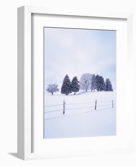 Germany, Bavaria, AllgŠu, Snow Scenery, Trees-Herbert Kehrer-Framed Photographic Print