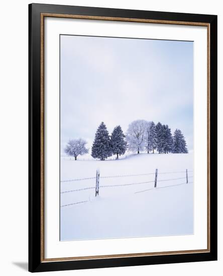 Germany, Bavaria, AllgŠu, Snow Scenery, Trees-Herbert Kehrer-Framed Photographic Print