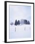 Germany, Bavaria, AllgŠu, Snow Scenery, Trees-Herbert Kehrer-Framed Photographic Print