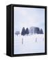 Germany, Bavaria, AllgŠu, Snow Scenery, Trees-Herbert Kehrer-Framed Stretched Canvas