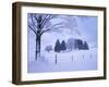 Germany, Bavaria, AllgŠu, Snow Scenery, Trees-Herbert Kehrer-Framed Photographic Print