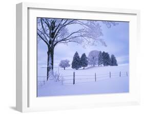 Germany, Bavaria, AllgŠu, Snow Scenery, Trees-Herbert Kehrer-Framed Photographic Print