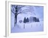 Germany, Bavaria, AllgŠu, Snow Scenery, Trees-Herbert Kehrer-Framed Photographic Print