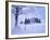 Germany, Bavaria, AllgŠu, Snow Scenery, Trees-Herbert Kehrer-Framed Photographic Print