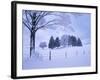 Germany, Bavaria, AllgŠu, Snow Scenery, Trees-Herbert Kehrer-Framed Photographic Print