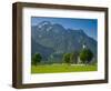 Germany, Bavaria (Bayern), Neuschwanstein Castle and Kolomanskirche-Alan Copson-Framed Photographic Print