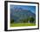 Germany, Bavaria (Bayern), Neuschwanstein Castle and Kolomanskirche-Alan Copson-Framed Photographic Print