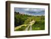 Germany, Bavaria, Central Franconia, Rothenburg Ob Der Tauber, Townscape, Cloudy Sky-Andreas Vitting-Framed Photographic Print