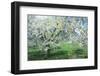 Germany, Bavaria, Cherry Blossom-null-Framed Photographic Print