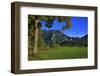 Germany, Bavaria, Cloudless Autumn Day, Schwangau Near FŸssen, Neuschwanstein Castle-Uwe Steffens-Framed Photographic Print