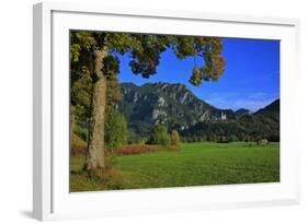 Germany, Bavaria, Cloudless Autumn Day, Schwangau Near FŸssen, Neuschwanstein Castle-Uwe Steffens-Framed Photographic Print