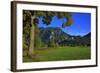 Germany, Bavaria, Cloudless Autumn Day, Schwangau Near FŸssen, Neuschwanstein Castle-Uwe Steffens-Framed Photographic Print