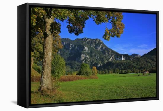 Germany, Bavaria, Cloudless Autumn Day, Schwangau Near FŸssen, Neuschwanstein Castle-Uwe Steffens-Framed Stretched Canvas