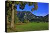 Germany, Bavaria, Cloudless Autumn Day, Schwangau Near FŸssen, Neuschwanstein Castle-Uwe Steffens-Stretched Canvas