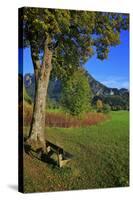 Germany, Bavaria, Cloudless Autumn Day, Schwangau Near FŸssen, Neuschwanstein Castle-Uwe Steffens-Stretched Canvas