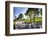 Germany, Bavaria, Country Road in Summer-Ralf Gerard-Framed Photographic Print