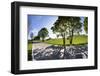 Germany, Bavaria, Country Road in Summer-Ralf Gerard-Framed Photographic Print