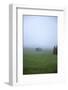 Germany, Bavaria, Elmau, meadow, barn, fog,-Christine Meder stage-art.de-Framed Photographic Print