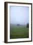 Germany, Bavaria, Elmau, meadow, barn, fog,-Christine Meder stage-art.de-Framed Photographic Print