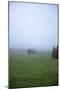 Germany, Bavaria, Elmau, meadow, barn, fog,-Christine Meder stage-art.de-Mounted Photographic Print