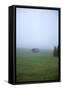 Germany, Bavaria, Elmau, meadow, barn, fog,-Christine Meder stage-art.de-Framed Stretched Canvas