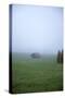 Germany, Bavaria, Elmau, meadow, barn, fog,-Christine Meder stage-art.de-Stretched Canvas