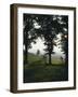 Germany, Bavaria, Fichtelgebirge (Fichtel Mountains), Oa+D42Ght-Thonig-Framed Photographic Print