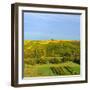 Germany, Bavaria, Franconia, North Home, Vineyards in the Cross Mountain over the Main-Andreas Vitting-Framed Photographic Print