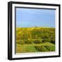 Germany, Bavaria, Franconia, North Home, Vineyards in the Cross Mountain over the Main-Andreas Vitting-Framed Photographic Print