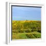 Germany, Bavaria, Franconia, North Home, Vineyards in the Cross Mountain over the Main-Andreas Vitting-Framed Photographic Print