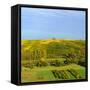 Germany, Bavaria, Franconia, North Home, Vineyards in the Cross Mountain over the Main-Andreas Vitting-Framed Stretched Canvas