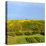 Germany, Bavaria, Franconia, North Home, Vineyards in the Cross Mountain over the Main-Andreas Vitting-Stretched Canvas