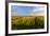 Germany, Bavaria, Franconia, North Home, Vineyards in the Cross Mountain-Andreas Vitting-Framed Photographic Print