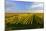 Germany, Bavaria, Franconia, North Home, Vineyards in the Cross Mountain-Andreas Vitting-Mounted Photographic Print