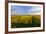 Germany, Bavaria, Franconia, North Home, Vineyards in the Cross Mountain-Andreas Vitting-Framed Photographic Print