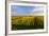 Germany, Bavaria, Franconia, North Home, Vineyards in the Cross Mountain-Andreas Vitting-Framed Photographic Print