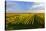 Germany, Bavaria, Franconia, North Home, Vineyards in the Cross Mountain-Andreas Vitting-Stretched Canvas