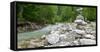 Germany, Bavaria, Garmisch-Partenkirchen, Crains on the Partnach (River-Andreas Vitting-Framed Stretched Canvas