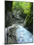 Germany, Bavaria, Garmisch-Partenkirchen, Partnachklamm (Gorge-Andreas Vitting-Mounted Photographic Print