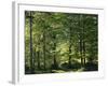 Germany, Bavaria, Geroldsee, Karwendel Mountains, Winter-Thonig-Framed Photographic Print