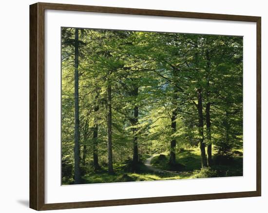 Germany, Bavaria, Geroldsee, Karwendel Mountains, Winter-Thonig-Framed Photographic Print