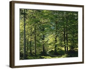 Germany, Bavaria, Geroldsee, Karwendel Mountains, Winter-Thonig-Framed Photographic Print