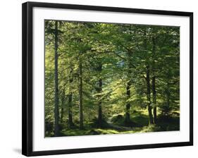 Germany, Bavaria, Geroldsee, Karwendel Mountains, Winter-Thonig-Framed Photographic Print