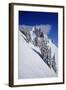 Germany, Bavaria, Highest Spot of the 'Tegelberg' (Mountain) Near FŸssen-Uwe Steffens-Framed Photographic Print