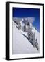 Germany, Bavaria, Highest Spot of the 'Tegelberg' (Mountain) Near FŸssen-Uwe Steffens-Framed Photographic Print