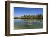 Germany, Bavaria, Lower Bavaria, Inn, Bad Fussing, District Aigen-Udo Siebig-Framed Photographic Print